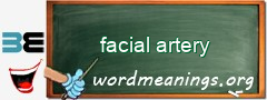 WordMeaning blackboard for facial artery